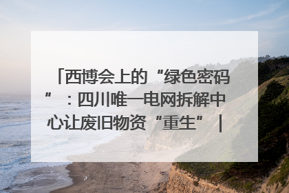 西博会上的“绿色密码”：四川唯一电网拆解中心让废旧物资“重生”｜西博寻“新”记
