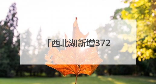 西北湖新增372个地下智能停车位，地上变小游园