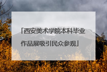 西安美术学院本科毕业作品展吸引民众参观