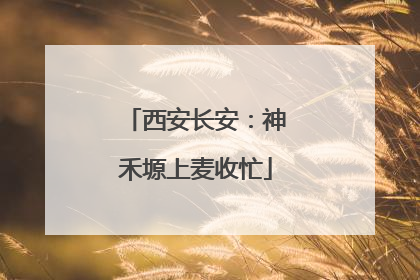 西安长安：神禾塬上麦收忙