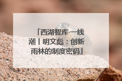 西湖智库·一线潮丨明文彪：创新雨林的制度密码