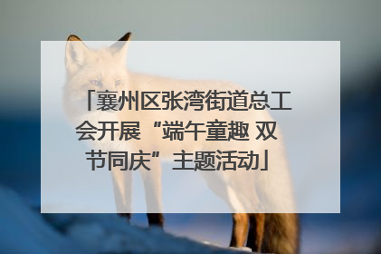 襄州区张湾街道总工会开展“端午童趣 双节同庆”主题活动