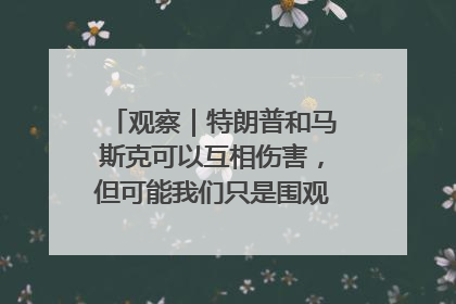 观察｜特朗普和马斯克可以互相伤害，但可能我们只是围观了一场闹剧