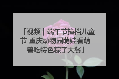 视频｜端午节撞档儿童节 重庆动物园萌娃看萌兽吃特色粽子大餐