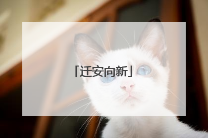 迁安向新