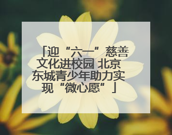 迎“六一”慈善文化进校园 北京东城青少年助力实现“微心愿”