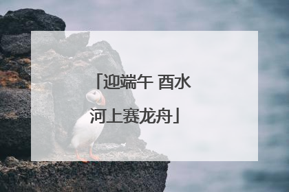 迎端午 酉水河上赛龙舟