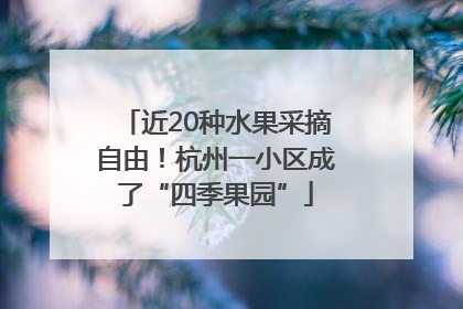 近20种水果采摘自由！杭州一小区成了“四季果园”
