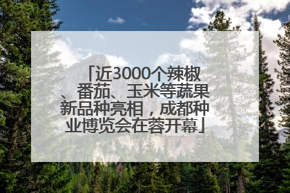 近3000个辣椒、番茄、玉米等蔬果新品种亮相，成都种业博览会在蓉开幕