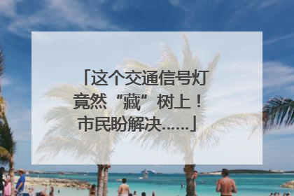 这个交通信号灯竟然“藏”树上！市民盼解决……