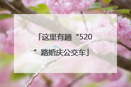 这里有趟“520”路婚庆公交车