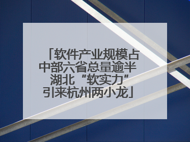 软件产业规模占中部六省总量逾半 湖北“软实力”引来杭州两小龙