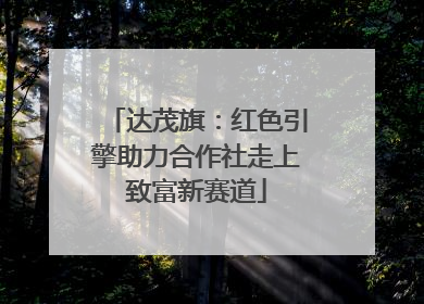 达茂旗：红色引擎助力合作社走上致富新赛道