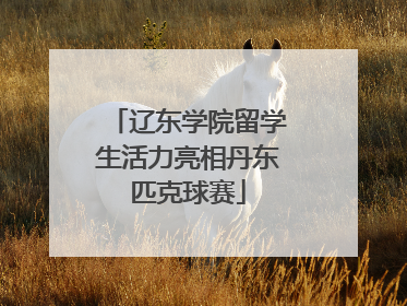 辽东学院留学生活力亮相丹东匹克球赛
