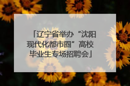 辽宁省举办“沈阳现代化都市圈”高校毕业生专场招聘会
