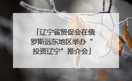 辽宁省贸促会在俄罗斯远东地区举办“投资辽宁”推介会