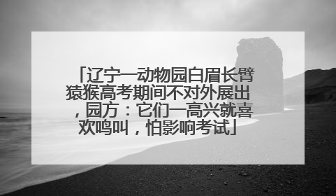 辽宁一动物园白眉长臂猿猴高考期间不对外展出，园方：它们一高兴就喜欢鸣叫，怕影响考试