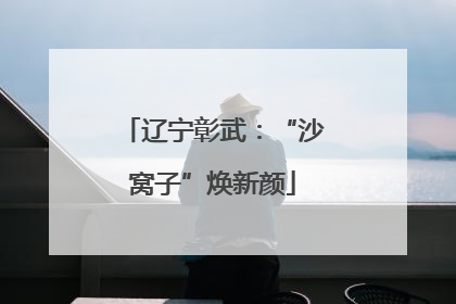 辽宁彰武：“沙窝子”焕新颜