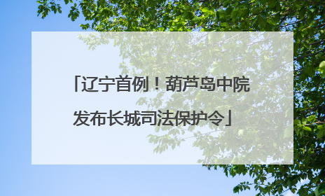 辽宁首例！葫芦岛中院发布长城司法保护令