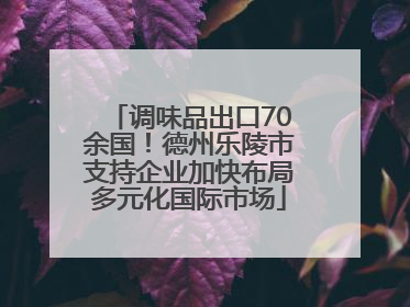 调味品出口70余国！德州乐陵市支持企业加快布局多元化国际市场