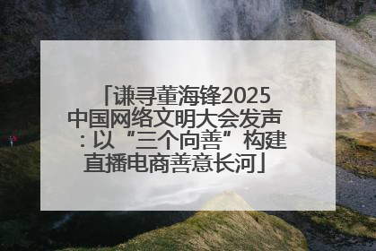 谦寻董海锋2025中国网络文明大会发声：以“三个向善”构建直播电商善意长河