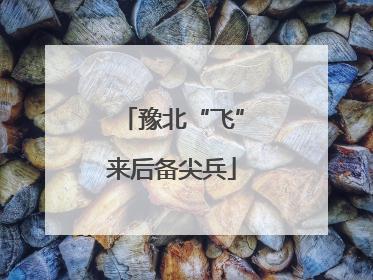 豫北“飞”来后备尖兵