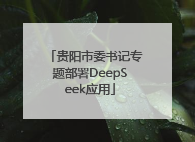 贵阳市委书记专题部署DeepSeek应用