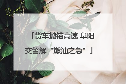 货车抛锚高速 阜阳交警解“燃油之急”