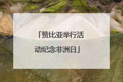 赞比亚举行活动纪念非洲日