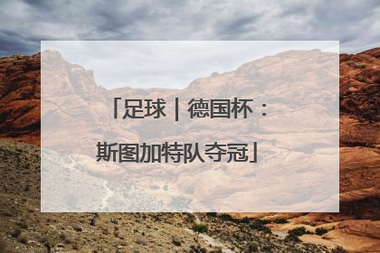 足球｜德国杯：斯图加特队夺冠
