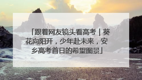 跟着网友镜头看高考｜葵花向阳开，少年赴未来，安乡高考首日的希望图景