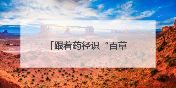 跟着药径识“百草”，宁波首条中医药研学步道发布