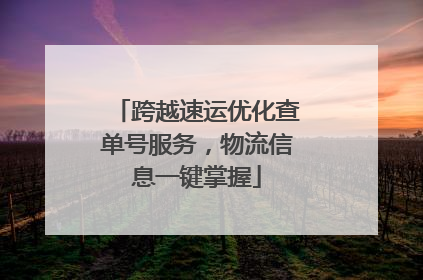 跨越速运优化查单号服务，物流信息一键掌握