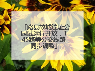 路县故城遗址公园试运行开放，T45路等公交线路同步调整
