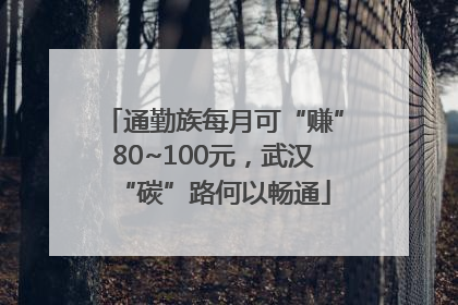 通勤族每月可“赚”80~100元，武汉“碳”路何以畅通