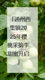 通州西集镇2025年樱桃采摘季甜蜜开启