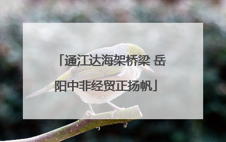 通江达海架桥梁 岳阳中非经贸正扬帆
