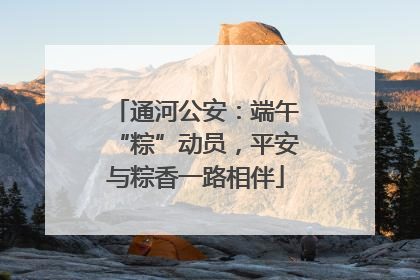 通河公安：端午“粽”动员，平安与粽香一路相伴