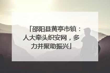 邵阳县黄亭市镇：人大牵头织安网，多力并聚助振兴