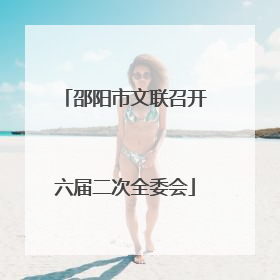 邵阳市文联召开六届二次全委会