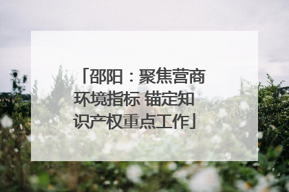 邵阳：聚焦营商环境指标 锚定知识产权重点工作