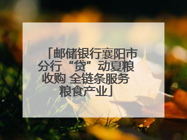 邮储银行襄阳市分行“贷”动夏粮收购 全链条服务粮食产业