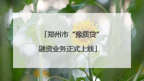 郑州市“豫质贷”融资业务正式上线
