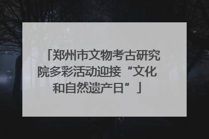 郑州市文物考古研究院多彩活动迎接“文化和自然遗产日”