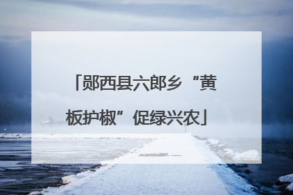 郧西县六郎乡“黄板护椒”促绿兴农