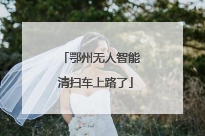 鄂州无人智能清扫车上路了