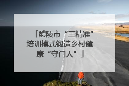 醴陵市“三精准”培训模式锻造乡村健康“守门人”