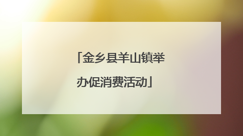 金乡县羊山镇举办促消费活动