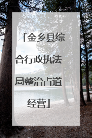 金乡县综合行政执法局整治占道经营