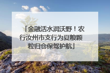金融活水润沃野！农行汝州市支行为夏粮颗粒归仓保驾护航